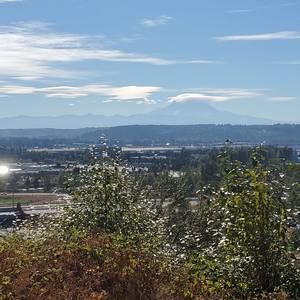 Meet your Posher, Travis